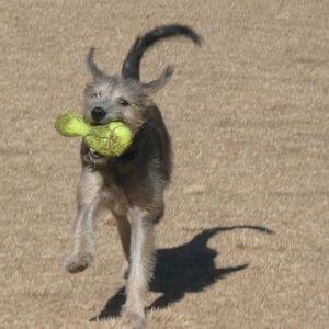 Meet your Posher, Margaret